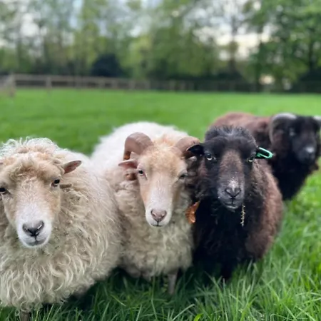 B&B Het Reekse Bos 3*