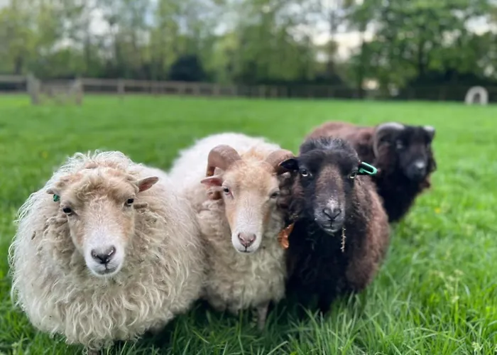 Frühstückspension Het Reekse Bos 3*