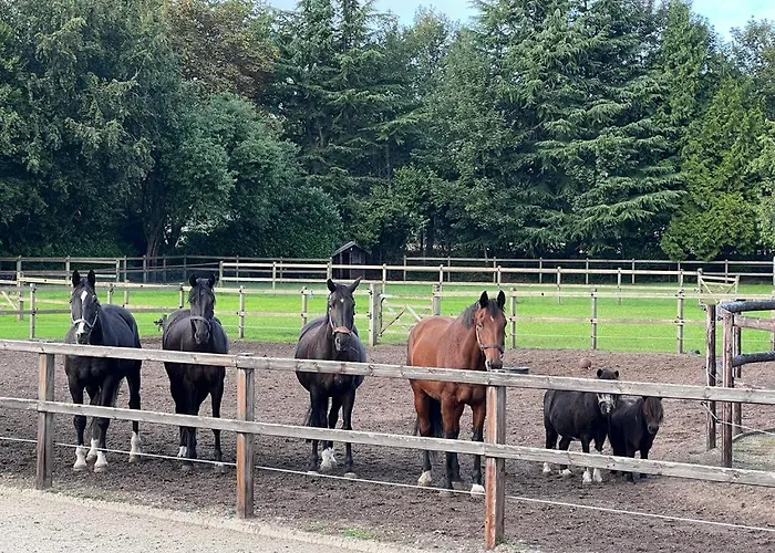 Het Reekse Bos 3* Reek