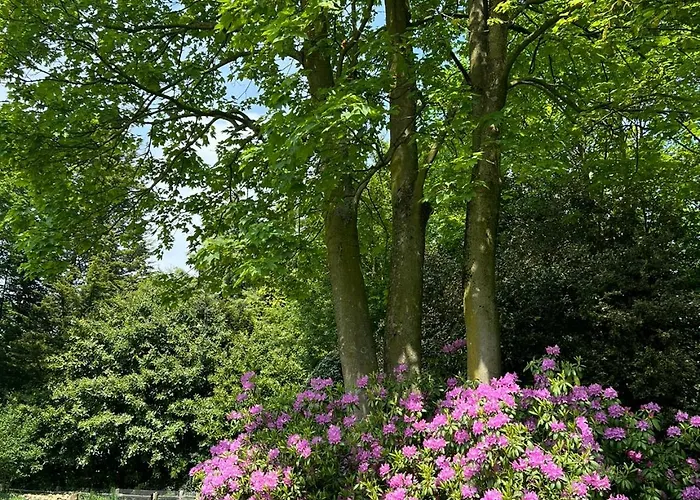 Het Reekse Bos 3* Reek