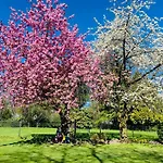 Het Reekse Bos 3*