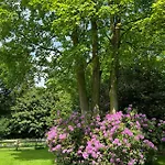 Het Reekse Bos 3* Reek
