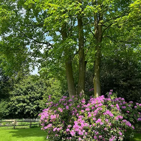 Het Reekse Bos 3* Reek